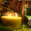 Oud Absinthe - Image 2