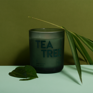 Tree Tea